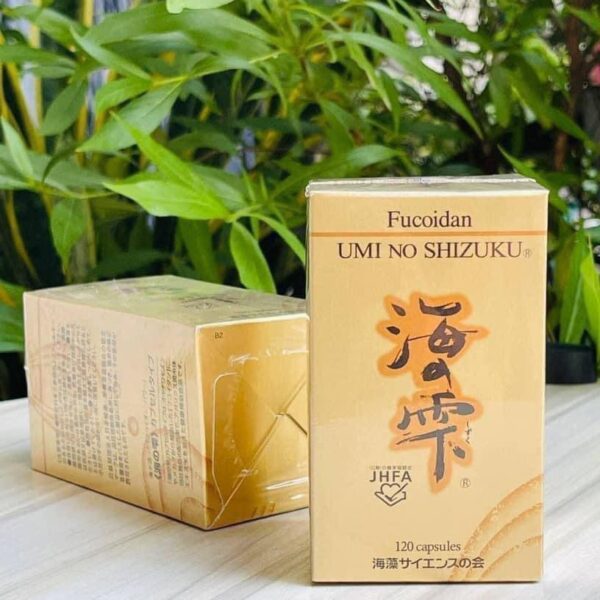 Tảo vàng Fucoidan